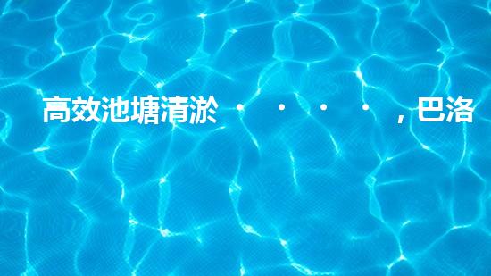 高效池塘清淤，巴洛仕設(shè)備助您一臂之力